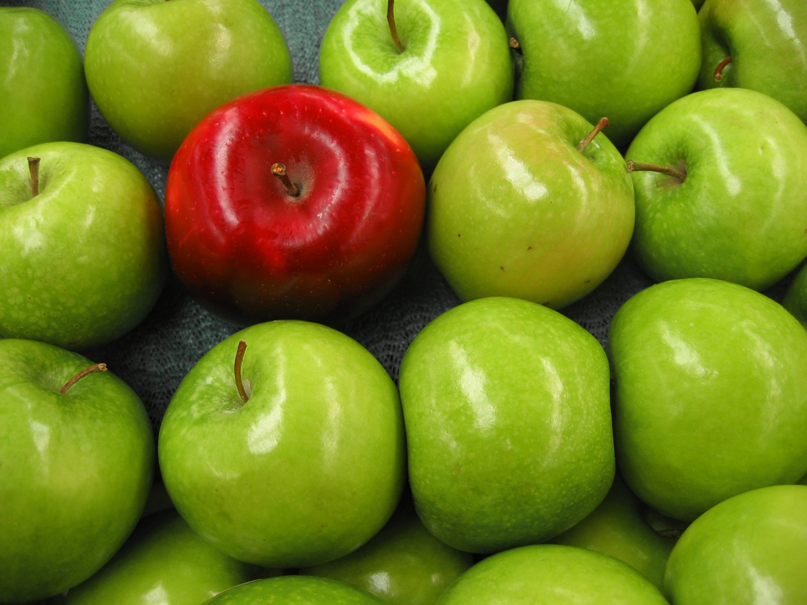 canstockphoto215992_apples